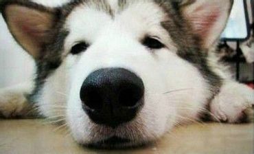 興發(fā)鋁業(yè)